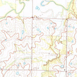 United States Geological Survey Cameron East, MO (1984, 24000-Scale) digital map