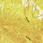 United States Geological Survey Camp Austin, TN (1946, 24000-Scale) digital map