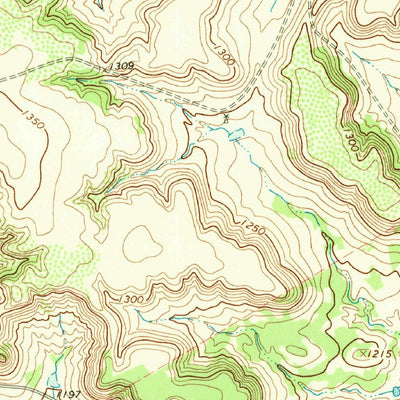 United States Geological Survey Camp Branch, TX (1966, 24000-Scale) digital map