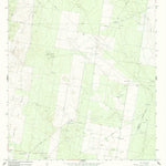 United States Geological Survey Camp Garcia, TX (1965, 24000-Scale) digital map