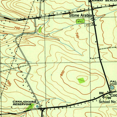 United States Geological Survey Canajoharie, NY (1946, 31680-Scale) digital map