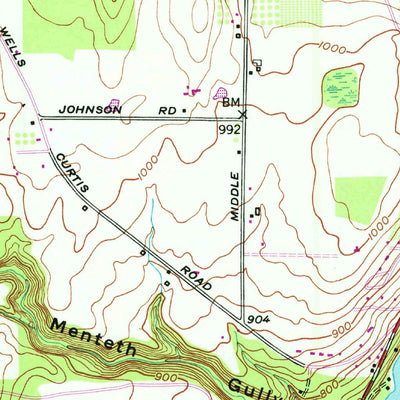 United States Geological Survey Canandaigua Lake, NY (1951, 24000-Scale) digital map