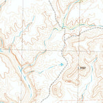 United States Geological Survey Candilla Canyon West, TX (1983, 24000-Scale) digital map