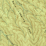 United States Geological Survey Caney Creek, TN (1938, 24000-Scale) digital map