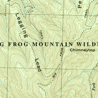 United States Geological Survey Caney Creek, TN (1999, 24000-Scale) digital map