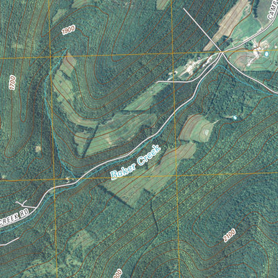 United States Geological Survey Canisteo, NY (2010, 24000-Scale) digital map