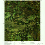 United States Geological Survey Cannon Corners Station, NY (1977, 25000-Scale) digital map
