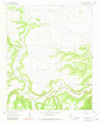 United States Geological Survey Canon Ancho, NM (1964, 24000-Scale) digital map