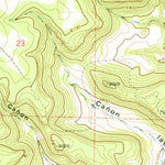 United States Geological Survey Canon Las Cuevas, NM (1971, 24000-Scale) digital map