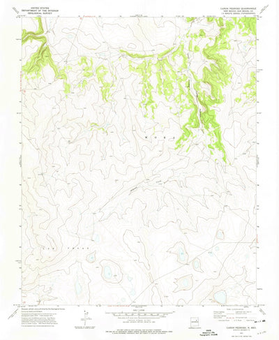 United States Geological Survey Canon Pedroso, NM (1971, 24000-Scale) digital map