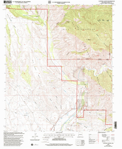 United States Geological Survey Canteen Canyon, NM (1999, 24000-Scale) digital map