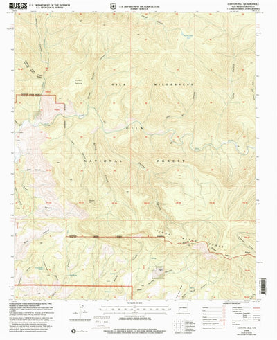 United States Geological Survey Canyon Hill, NM (1999, 24000-Scale) digital map