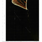 United States Geological Survey Cape Fear, NC (1980, 24000-Scale) digital map