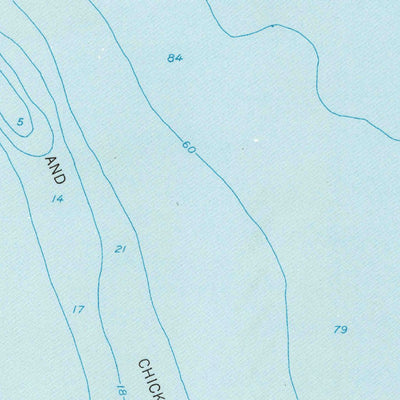 United States Geological Survey Cape Henlopen, DE-NJ (1954, 24000-Scale) digital map