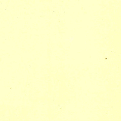 United States Geological Survey Cape May, NJ (1888, 62500-Scale) digital map