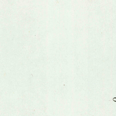 United States Geological Survey Cape Vizcaino, CA (1951, 62500-Scale) digital map