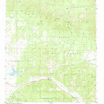 United States Geological Survey Capitan Pass, NM (1981, 24000-Scale) digital map