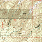 United States Geological Survey Capitan Pass, NM (2004, 24000-Scale) digital map