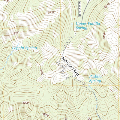 United States Geological Survey Capitan Pass, NM (2020, 24000-Scale) digital map