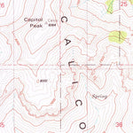 United States Geological Survey Capitol Peak, NV (1980, 24000-Scale) digital map