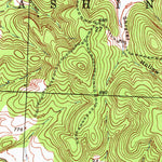 United States Geological Survey Caplinger Mills, MO (1939, 24000-Scale) digital map