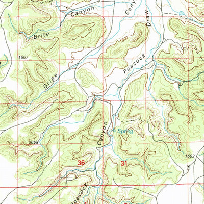 United States Geological Survey Capulin Mountain, NM-CO-OK-TX (1982, 100000-Scale) digital map