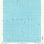 United States Geological Survey Carancahua Pass, TX (1980, 24000-Scale) digital map