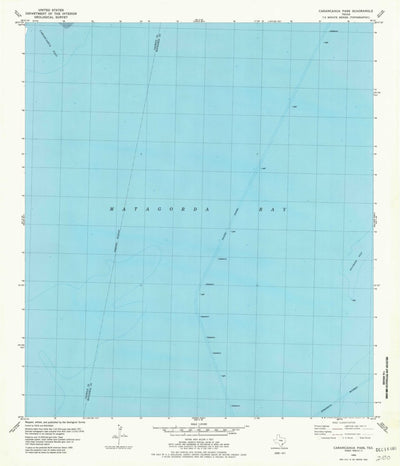 United States Geological Survey Carancahua Pass, TX (1980, 24000-Scale) digital map