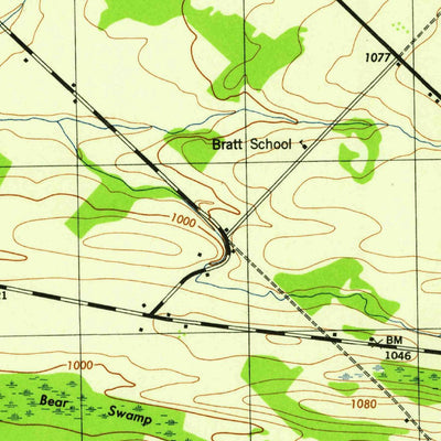 United States Geological Survey Carlisle, NY (1945, 31680-Scale) digital map