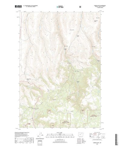 United States Geological Survey Carney Butte, OR (2020, 24000-Scale) digital map