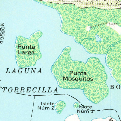 United States Geological Survey Carolina, PR (1963, 20000-Scale) digital map