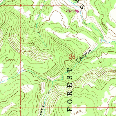 United States Geological Survey Carracas Canyon, NM (1963, 24000-Scale) digital map