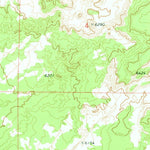 United States Geological Survey Carrisito Spring, AZ-NM (1978, 24000-Scale) digital map