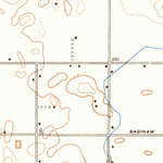 United States Geological Survey Caruthers, CA (1946, 24000-Scale) digital map