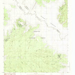 United States Geological Survey Cassells-Boykin Park, TX (1984, 24000-Scale) digital map