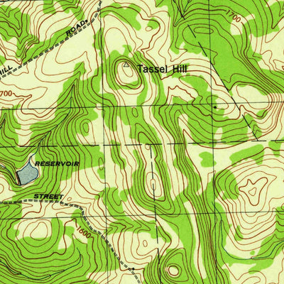 United States Geological Survey Cassville, NY (1945, 31680-Scale) digital map