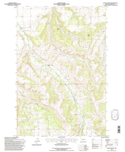 United States Geological Survey Castle Butte, MT (1995, 24000-Scale) digital map