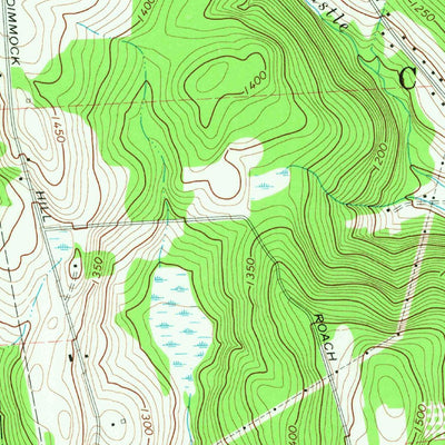United States Geological Survey Castle Creek, NY (1968, 24000-Scale) digital map