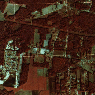 United States Geological Survey Castle Hayne, NC (1980, 24000-Scale) digital map