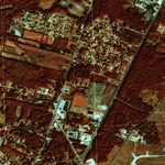 United States Geological Survey Castle Hayne, NC (1980, 24000-Scale) digital map