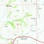 United States Geological Survey Cat Creek Summit, ID (1973, 24000-Scale) digital map