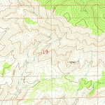 United States Geological Survey Cat Mountain, NM (1981, 24000-Scale) digital map