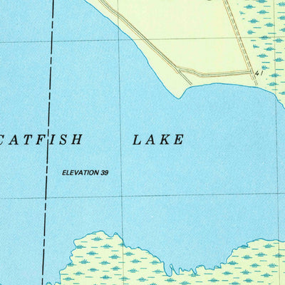 United States Geological Survey Catfish Lake, NC (1984, 24000-Scale) digital map