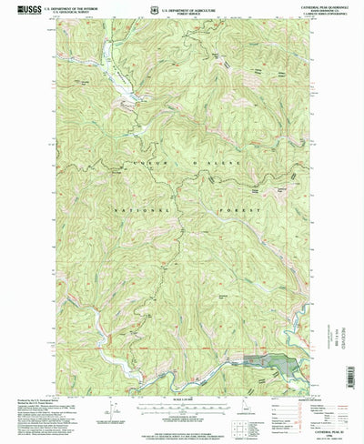 United States Geological Survey Cathedral Peak, ID (1996, 24000-Scale) digital map