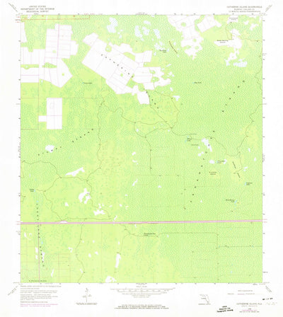 United States Geological Survey Catherine Island, FL (1958, 24000-Scale) digital map