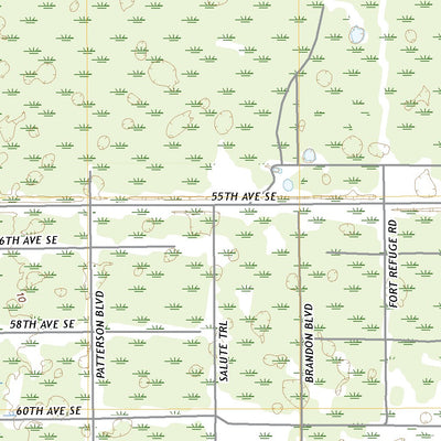United States Geological Survey Catherine Island, FL (2021, 24000-Scale) digital map