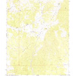 United States Geological Survey Cattle Camp Spring, NV (1973, 24000-Scale) digital map