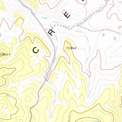 United States Geological Survey Cattle Camp Spring, NV (1973, 24000-Scale) digital map