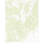 United States Geological Survey Cattle Camp Spring, NV (2021, 24000-Scale) digital map