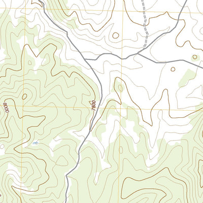 United States Geological Survey Cattle Camp Spring, NV (2021, 24000-Scale) digital map